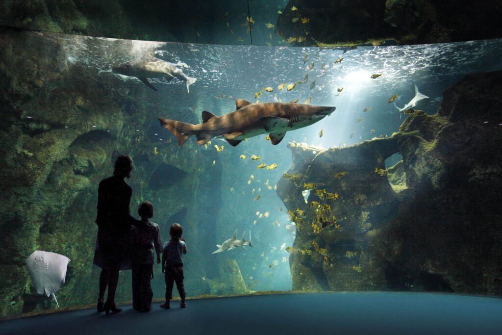 L'Aquarium L'Aquarium